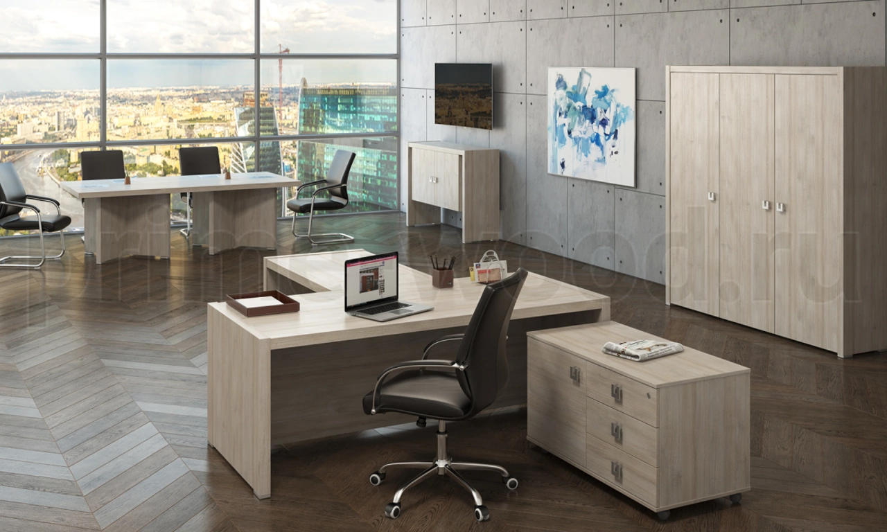 Кабинет руководителя SOLID - фото 5